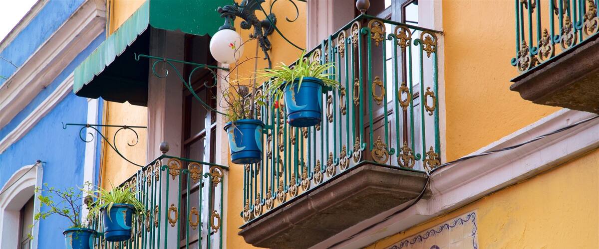 Los Sapos Bazaar featuring heritage elements