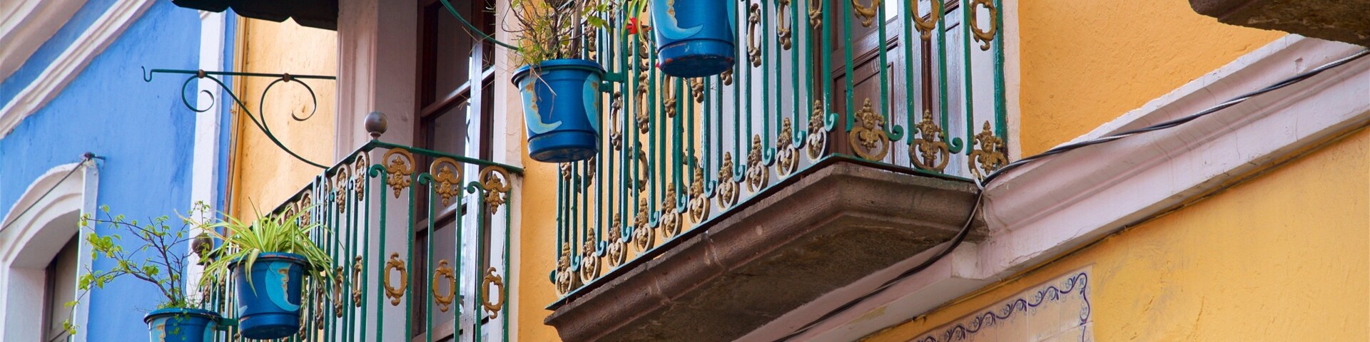 Los Sapos Bazaar featuring heritage elements