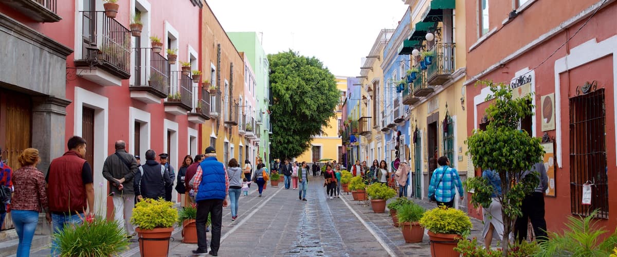 洛斯薩波斯市集