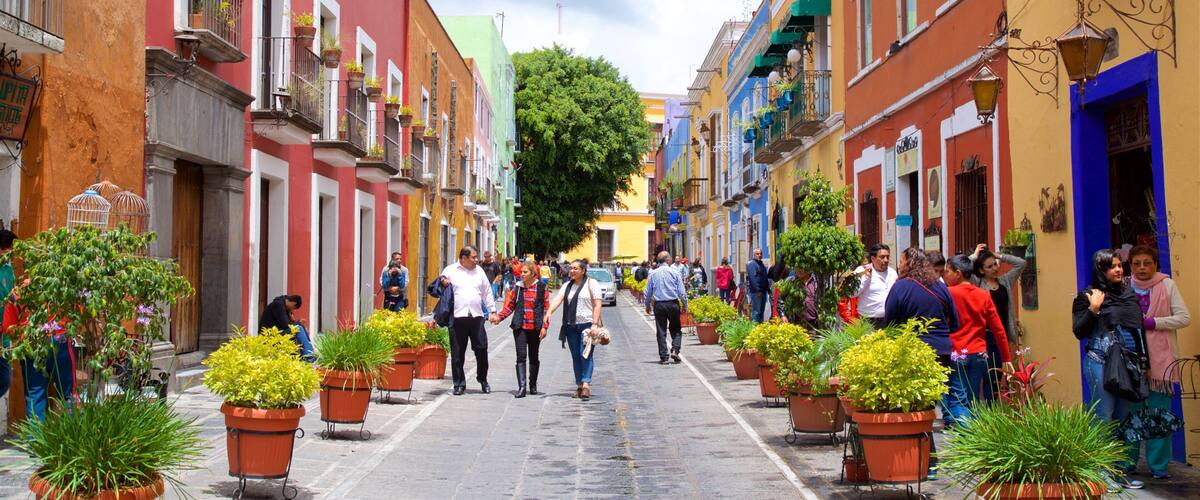 Bazar de Los Sapos