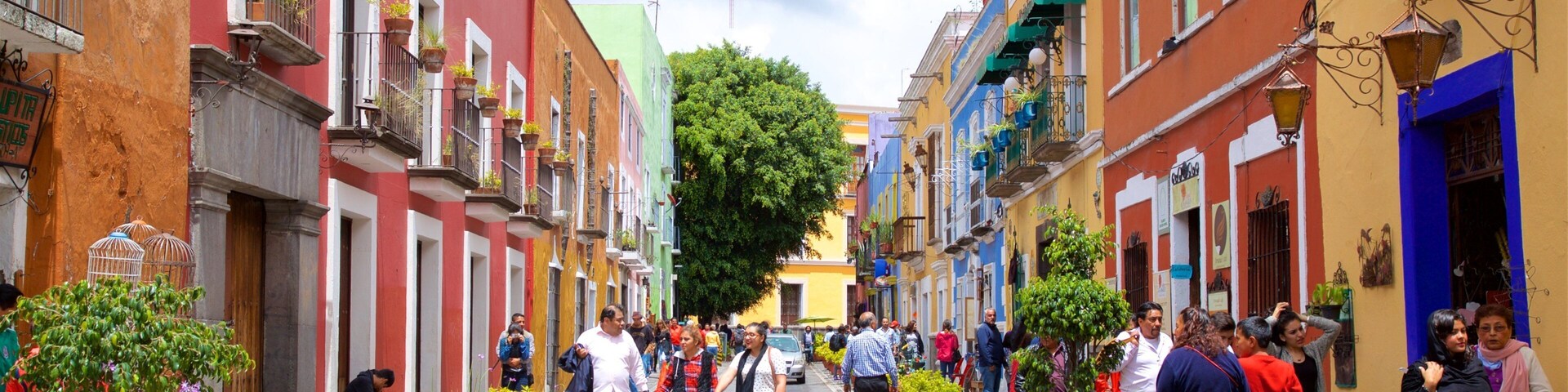 Los Sapos Bazaar as well as a small group of people