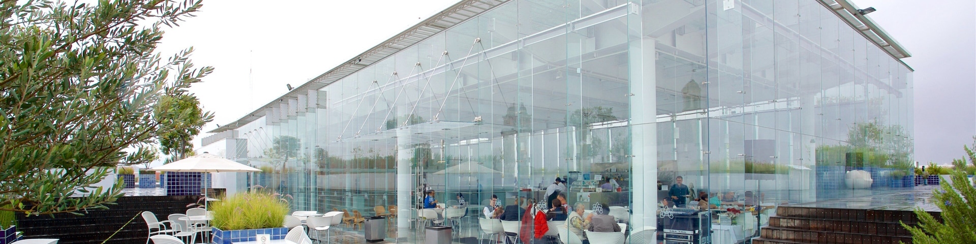 Museu do Amparo mostrando arquitetura moderna