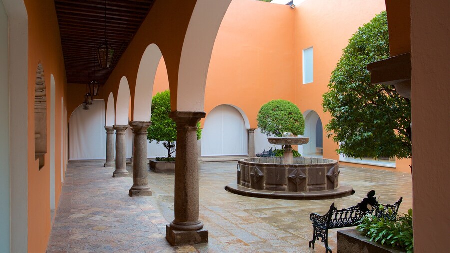 Museo Amparo ofreciendo una fuente