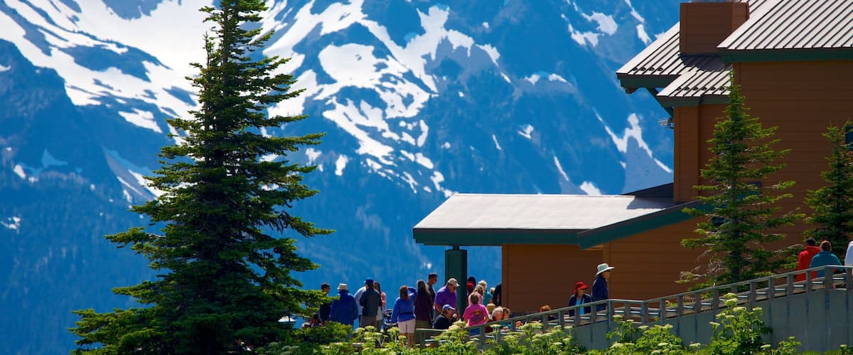 Hurricane Ridge Visitors Center featuring snow, mountains and views
