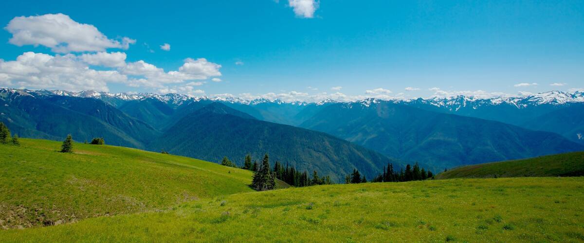 Hurricane Ridge Visitors Center showing mountains and landscape views