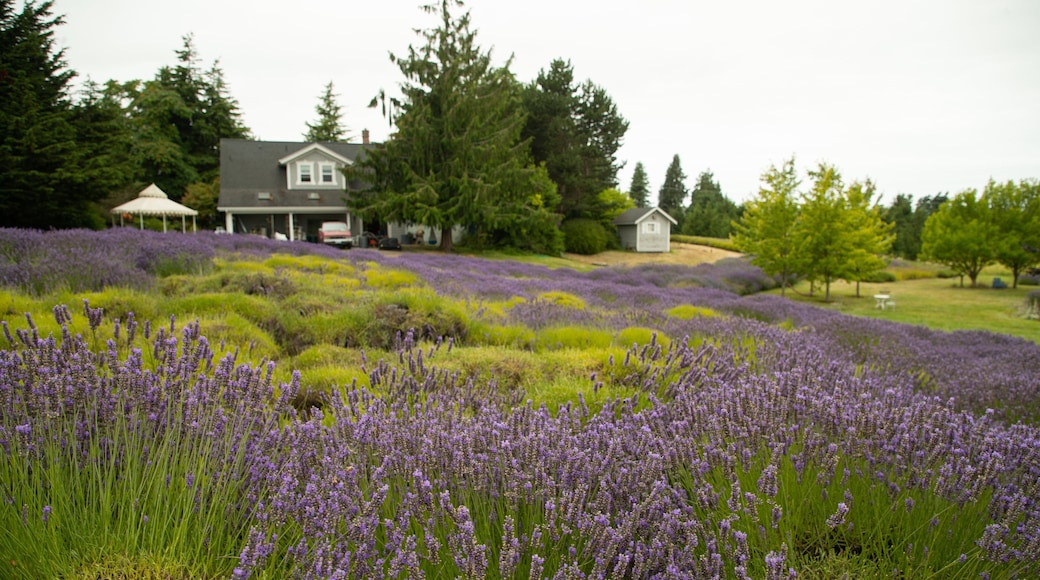 Jardin du Soleil which includes a park and wildflowers