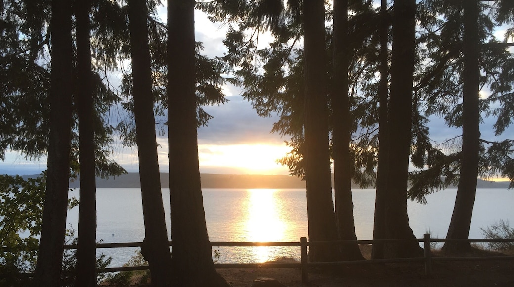 This peaceful scene makes me want to string up a hammock & stay for a week. Or a few. Plenty of camping, & this is right outside a small one-room large that can be rented for events!