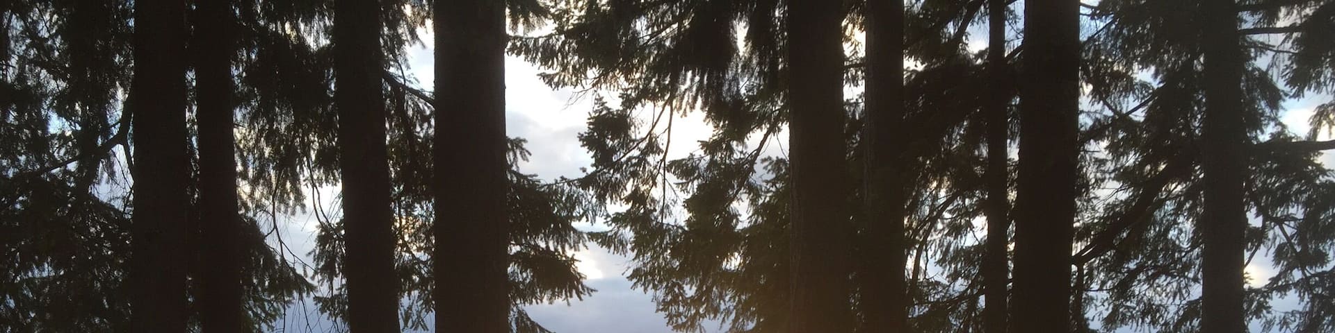 This peaceful scene makes me want to string up a hammock & stay for a week. Or a few. Plenty of camping, & this is right outside a small one-room large that can be rented for events!