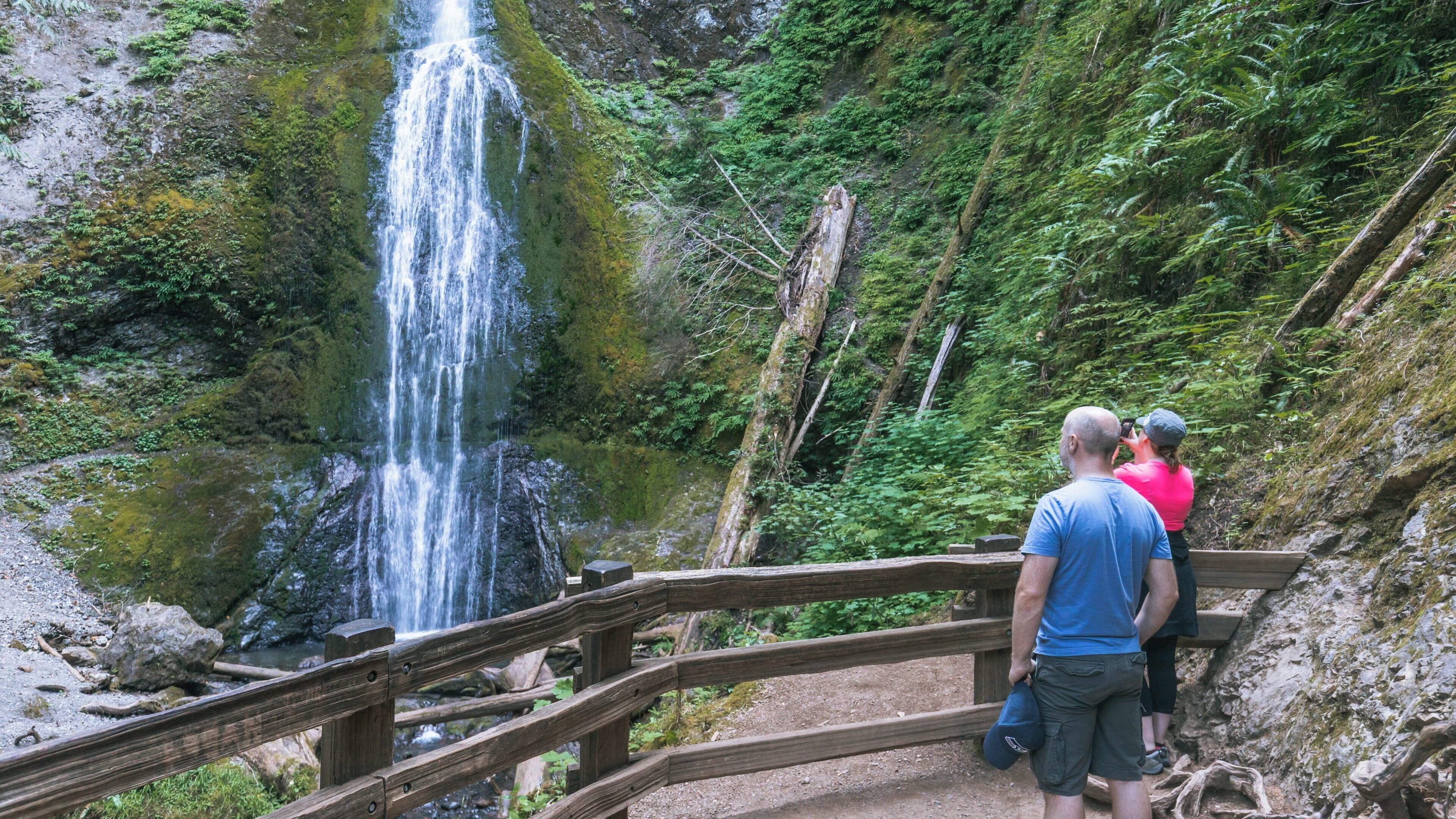 Visitors enjoying the view of Marymere Falls in Port Angeles, Washington on a tranquil day in nature
