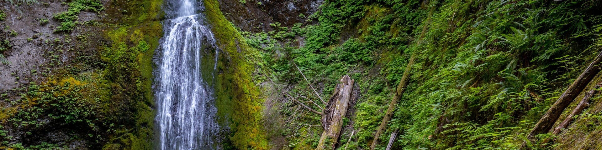 Marymere Falls which includes a waterfall as well as a couple