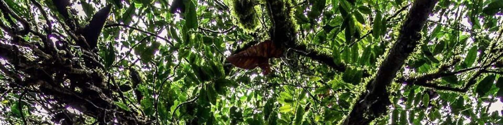 Four day trek to find the Lost City #LifeatExpedia