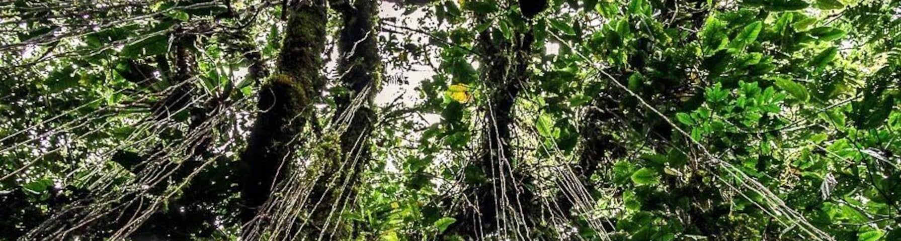 Four day trek to find the Lost City #LifeatExpedia