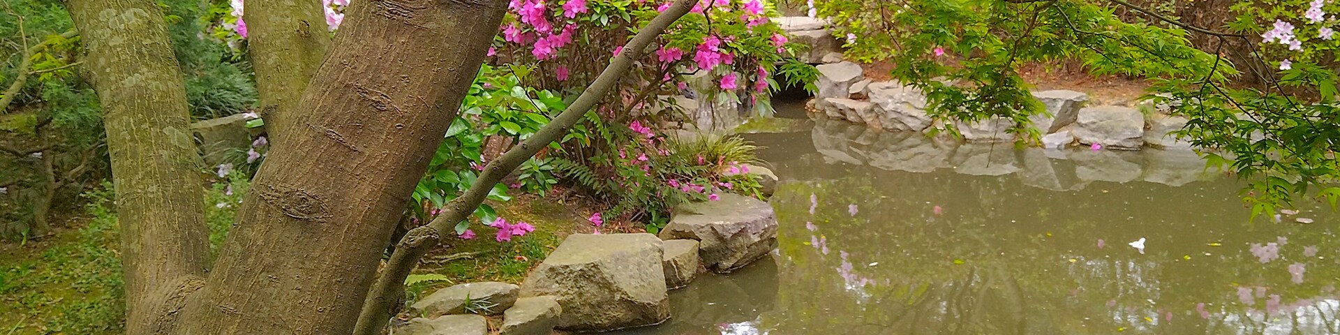 Japanese garden, botanic garden of montevideo city, uruguay