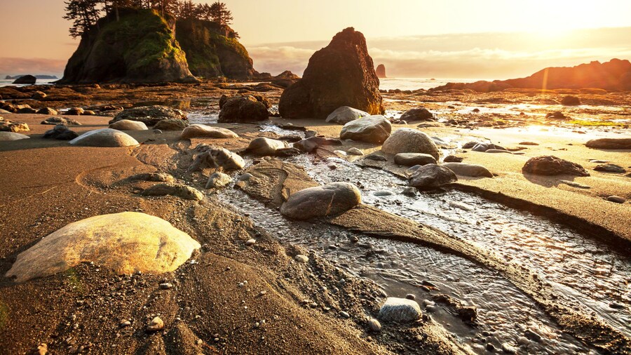 Centre de Visitants del Parc Nacional Olímpic