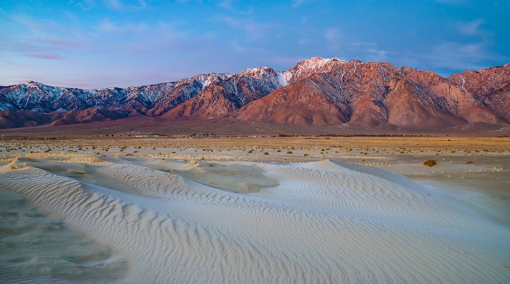 Olancha Dunes at California's Eastern Sierra