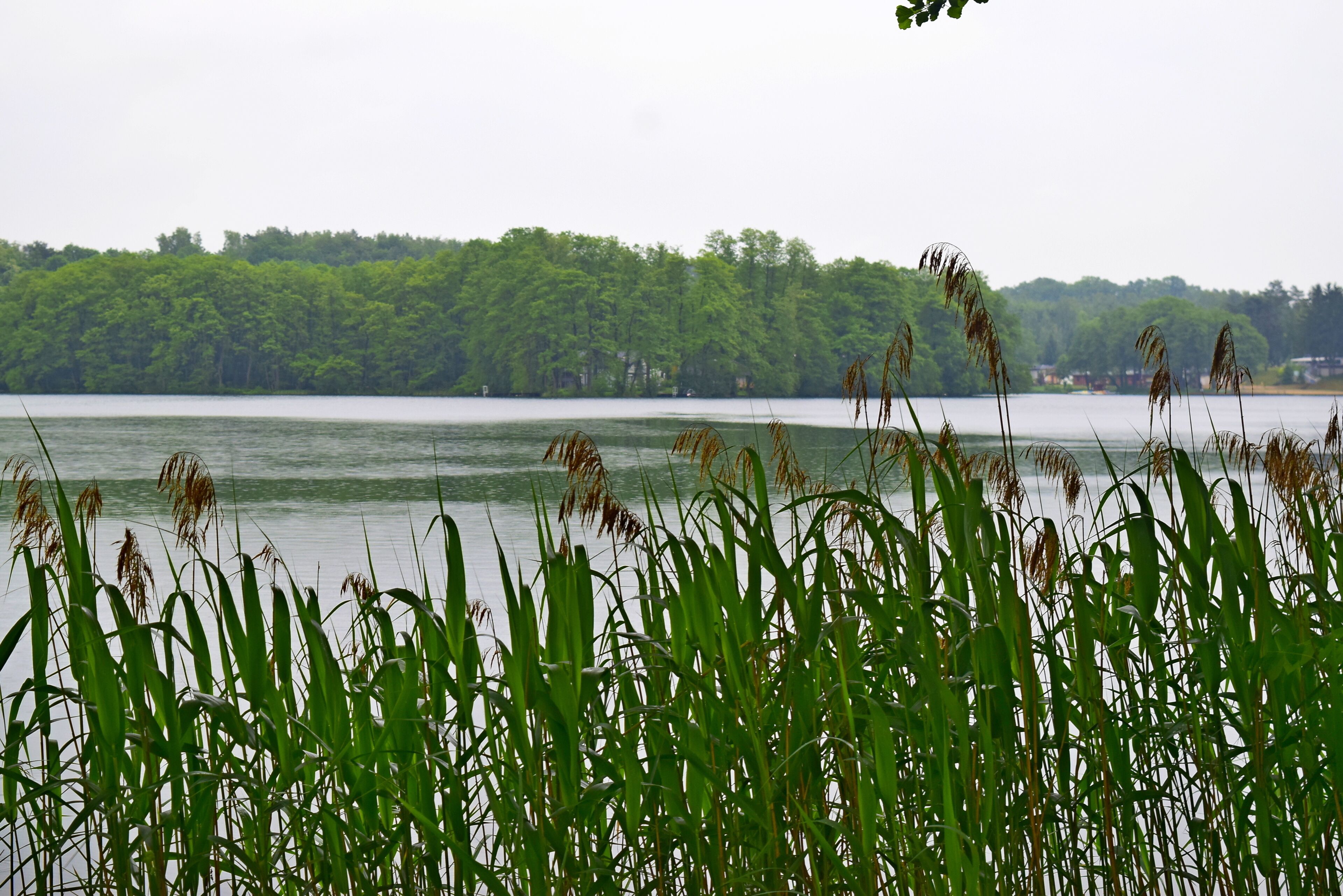 Weather wasn't brilliant but I love this place anyway