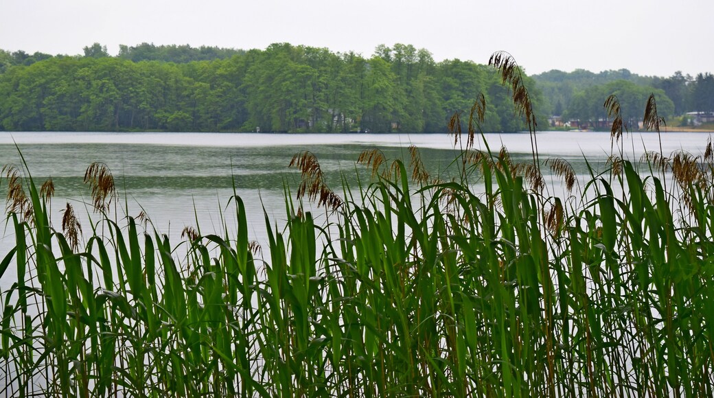 Weather wasn't brilliant but I love this place anyway