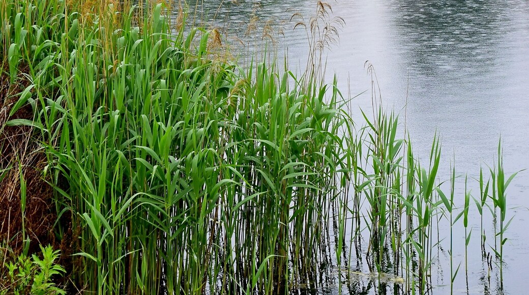 Weather wasn't brilliant but I love this place anyway