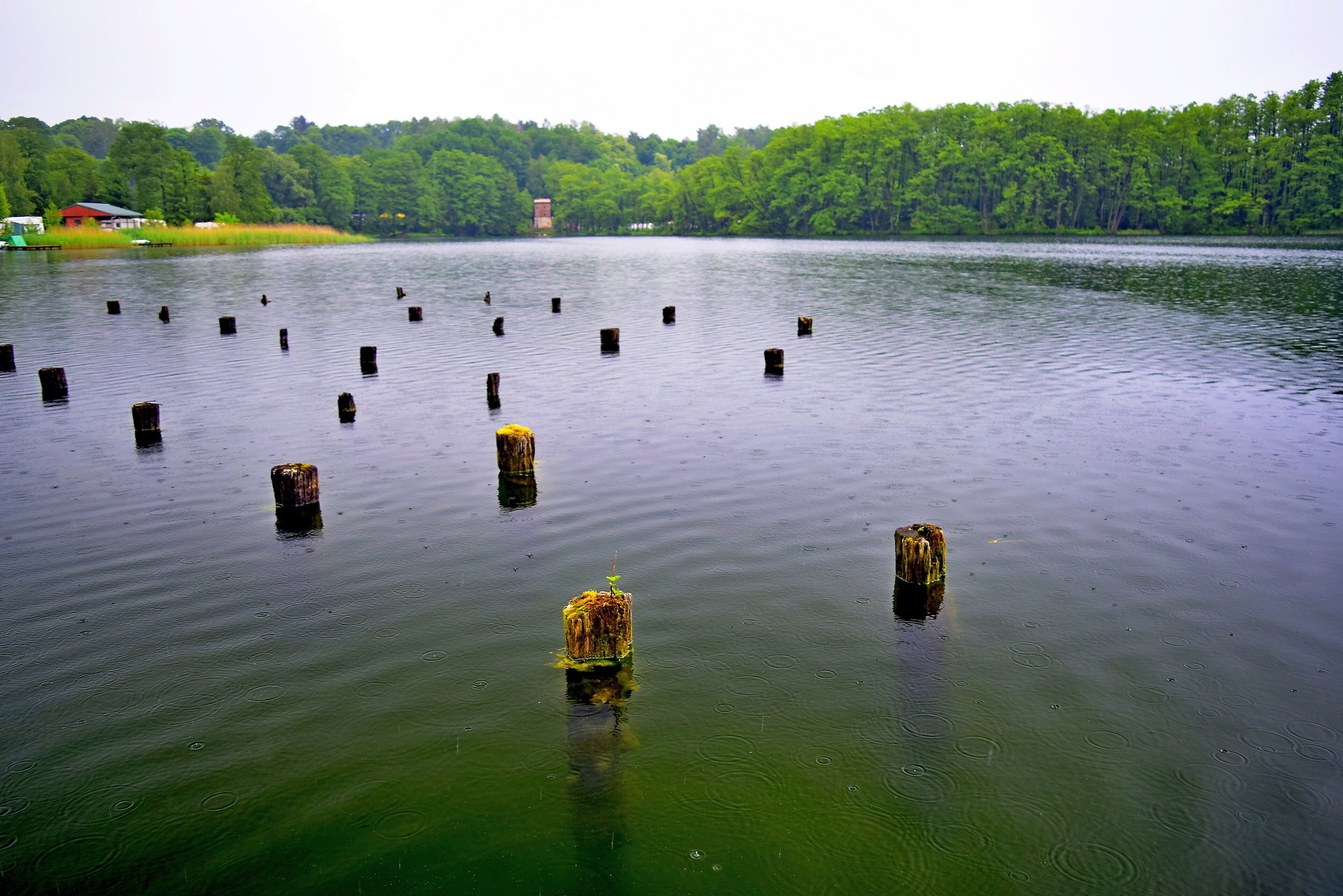 Weather wasn't brilliant but I love this place anyway