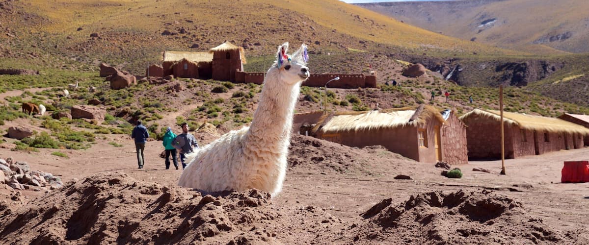 Machuca Hotel Guide