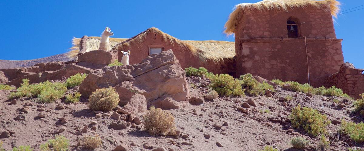 A traditional stone building with a thatched roof, surrounded by rocky terrain and sparse vegetation.