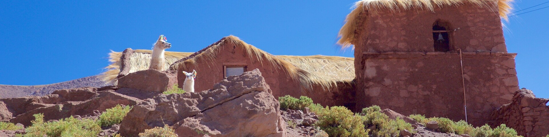 A traditional stone building with a thatched roof, surrounded by rocky terrain and sparse vegetation.