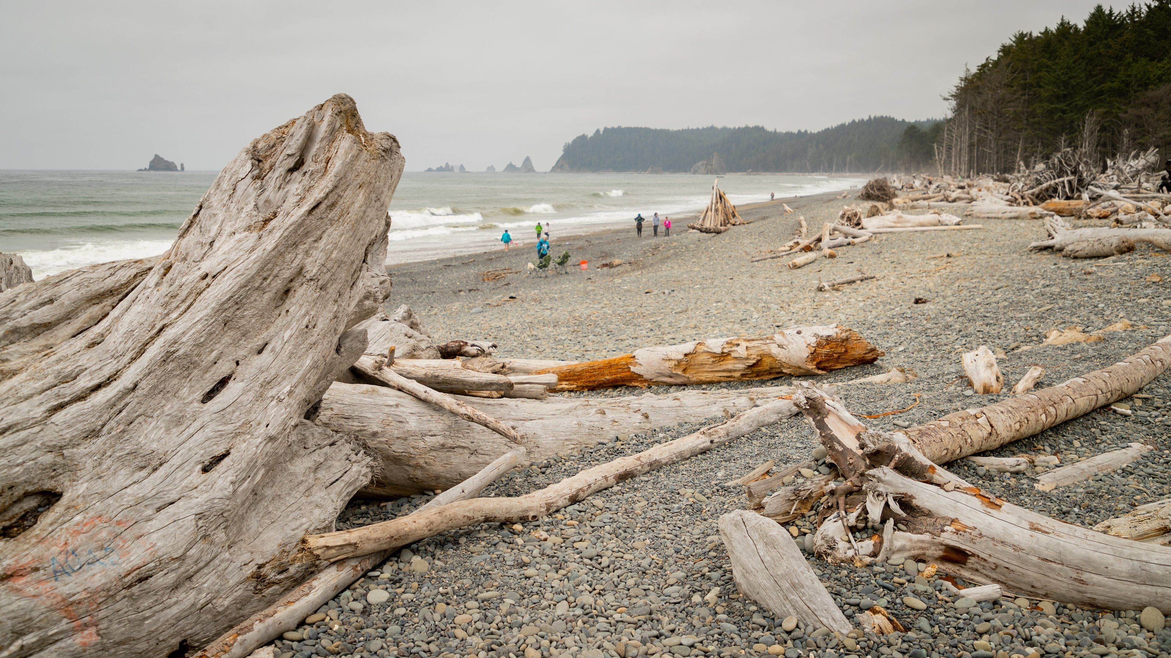 Driftwood on a pebbled beach with people in the background and a forested hill in the distance.