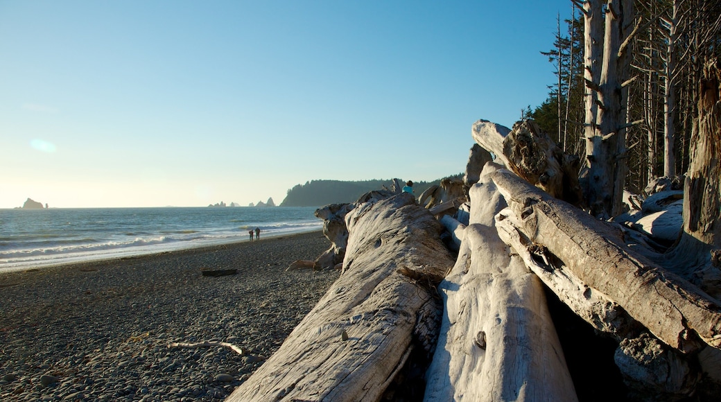 Plage Rialto qui includes plage de galets, vues littorales et panoramas