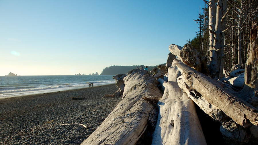 Rialto Beach which includes a pebble beach, landscape views and general coastal views