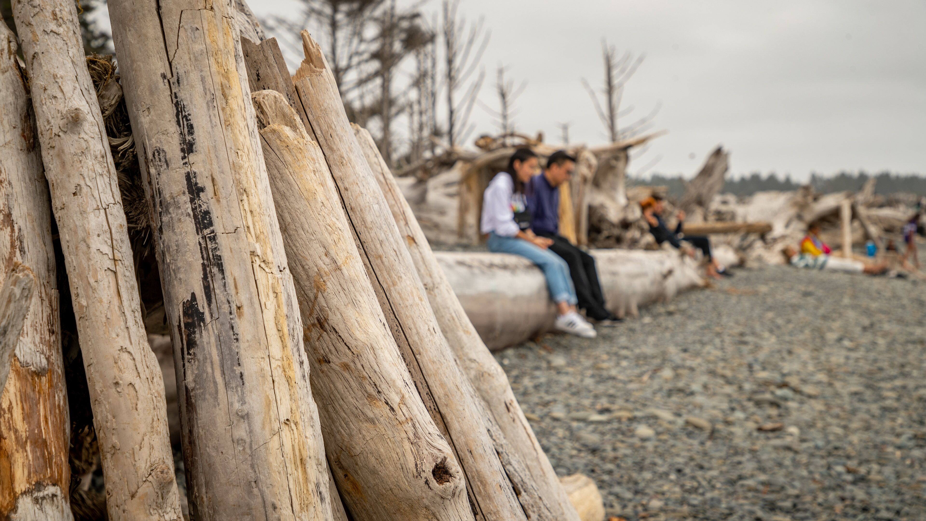 La Push as well as a couple