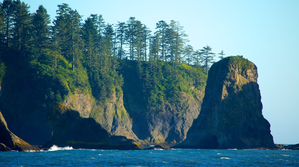 Rialto Beach som viser kyst, stenete kystlinje og landskap