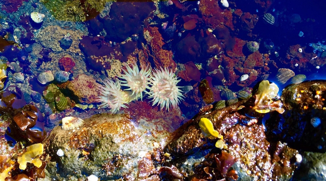 #Colorful
Great view of some sea life.