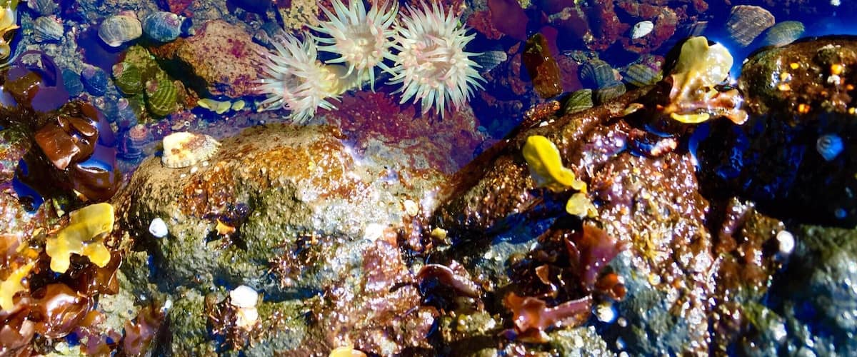 #Colorful
Great view of some sea life.