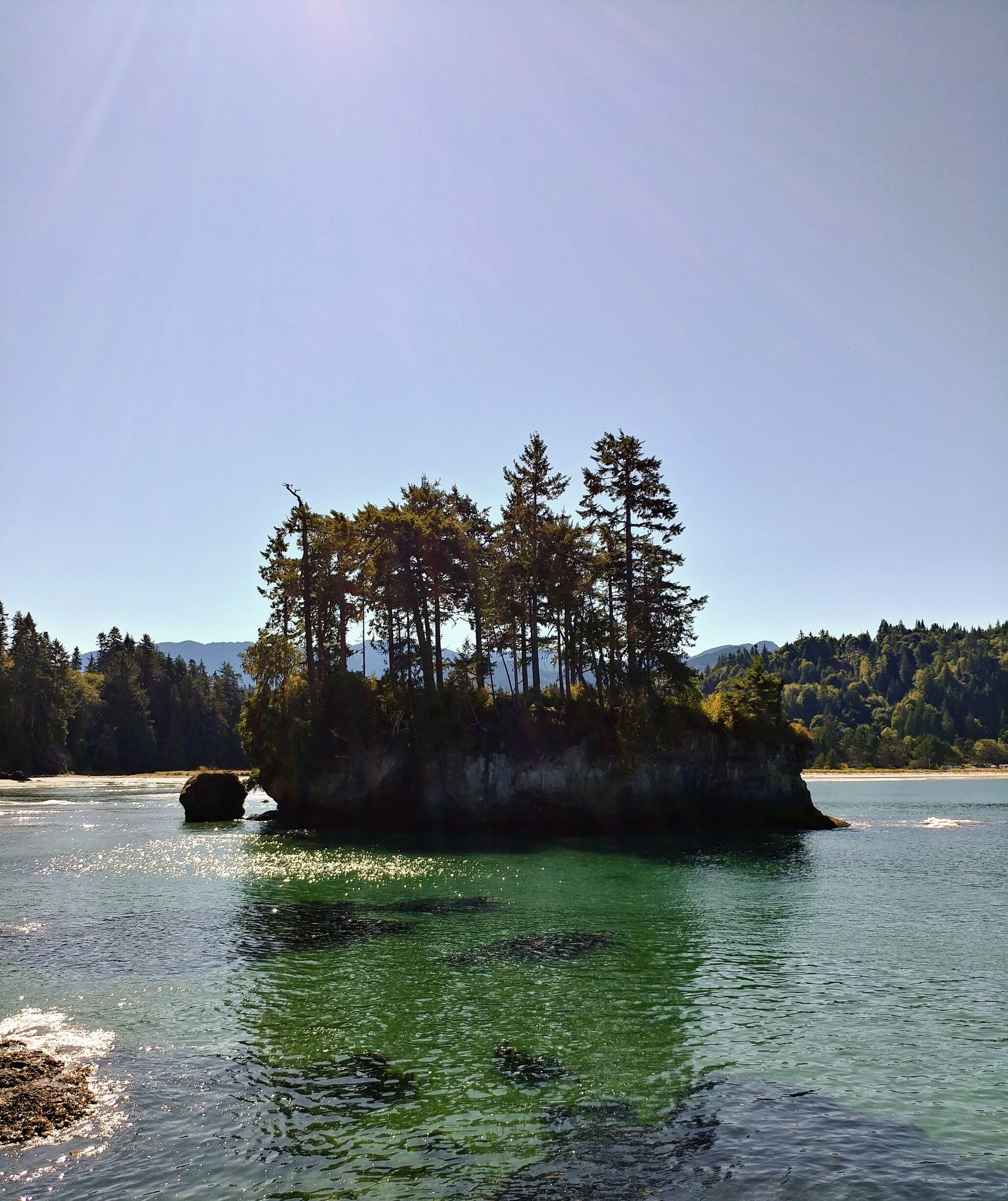 Another tree lined sea stack on an inlet at Salt Creek Recreation Area near Port Angeles.