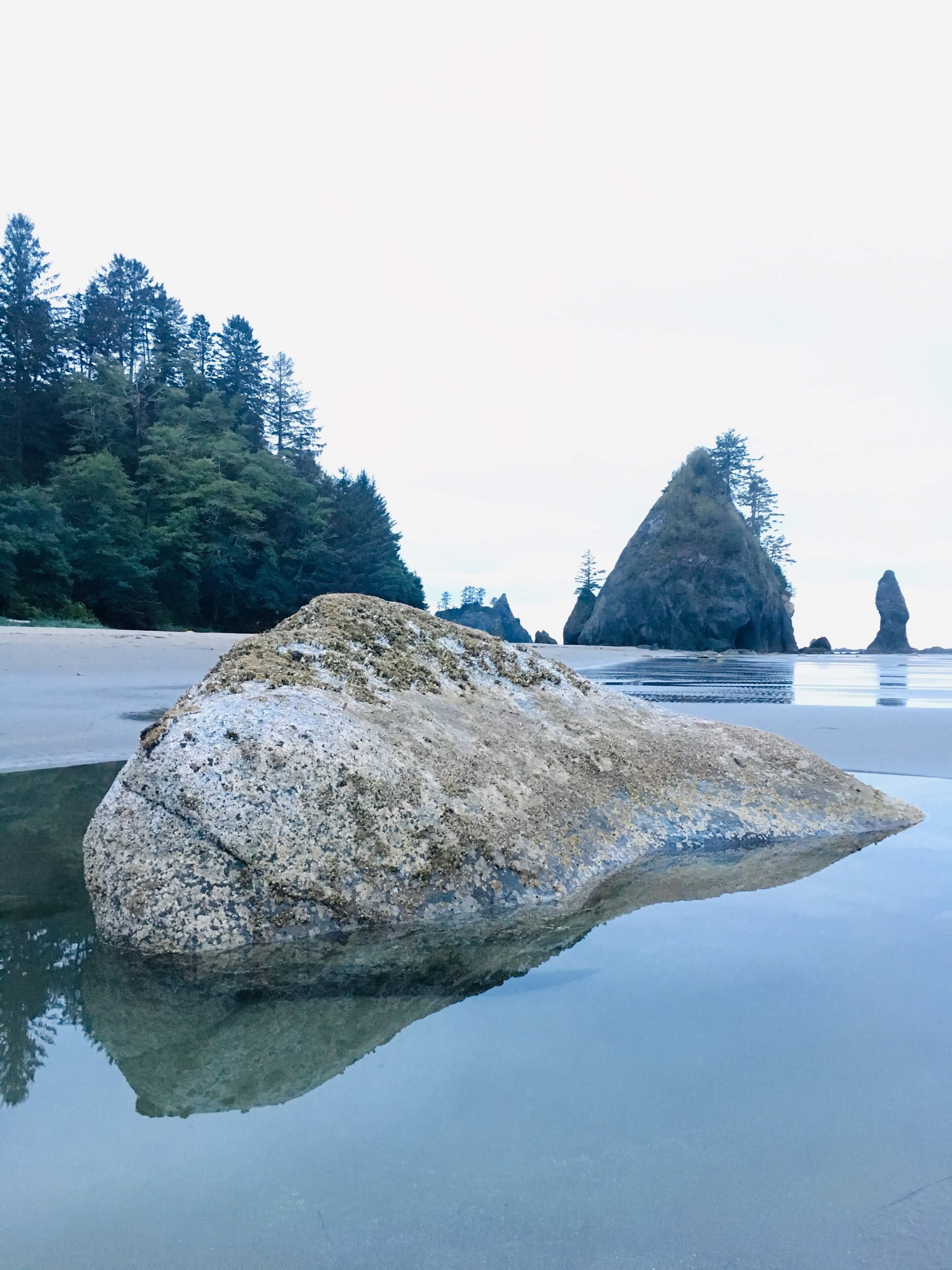 Gorgeous day after hiking in. Low winds, no rain and 70°. Couldn’t ask for much better