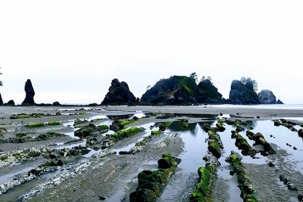 #lifeatespedia
#beaches