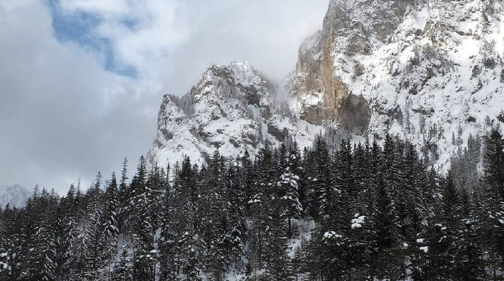 "Grüner See" = green lake