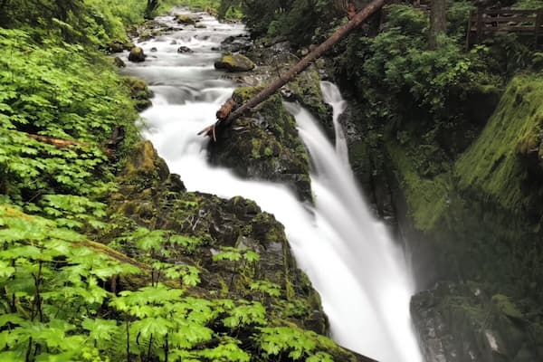A waterfall in a lush green forest.