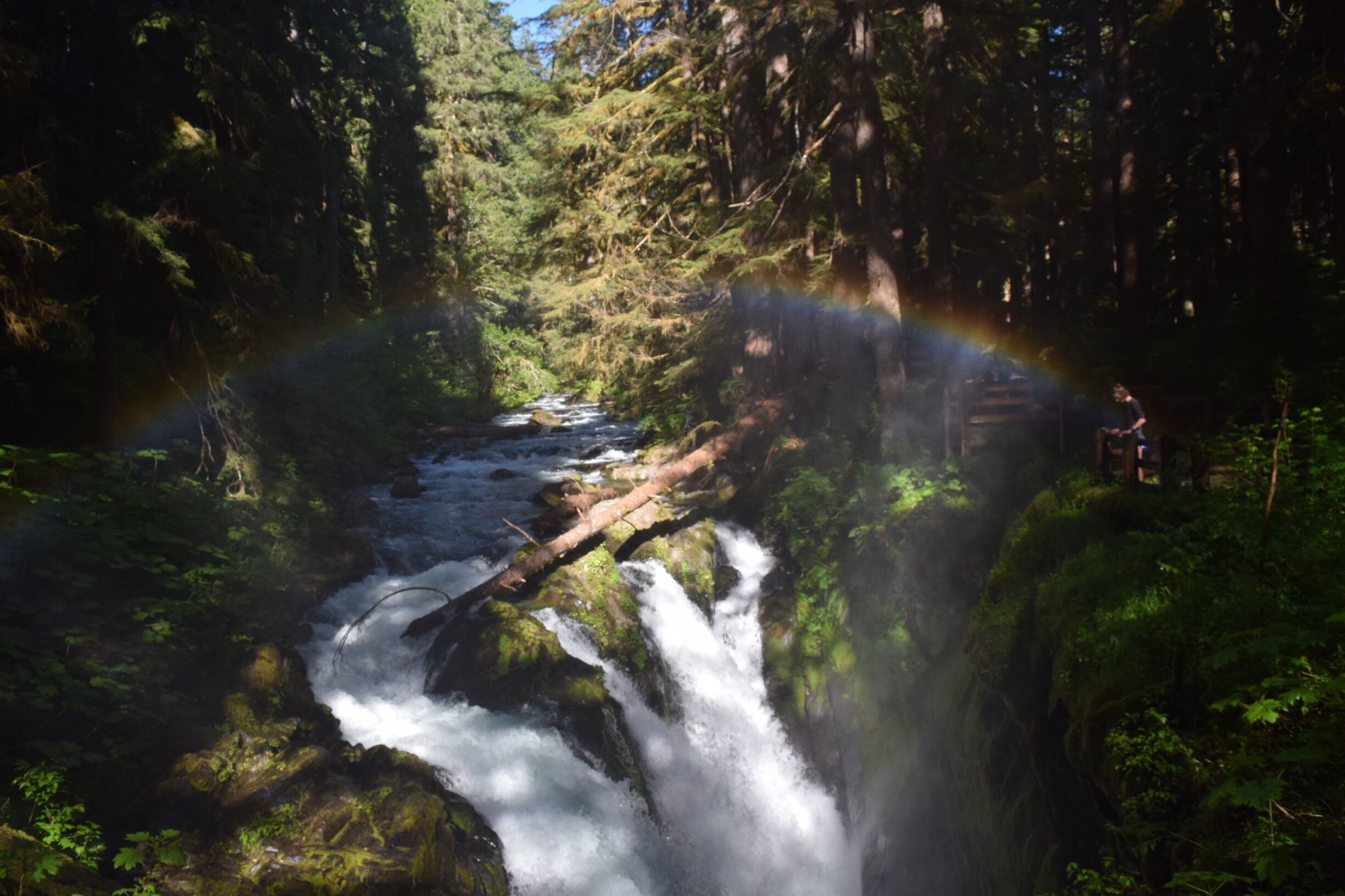 A waterfall in a forested area with a rainbow arching over it.