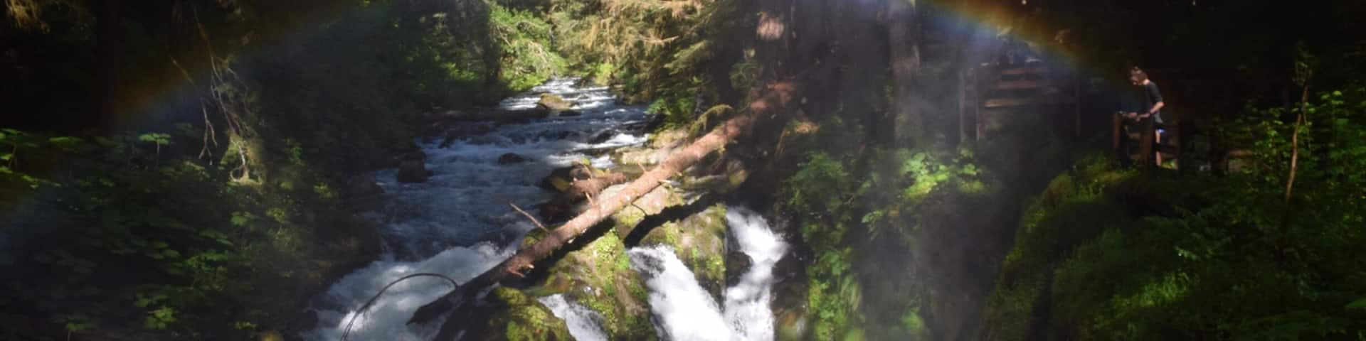 A waterfall in a forested area with a rainbow arching over it.