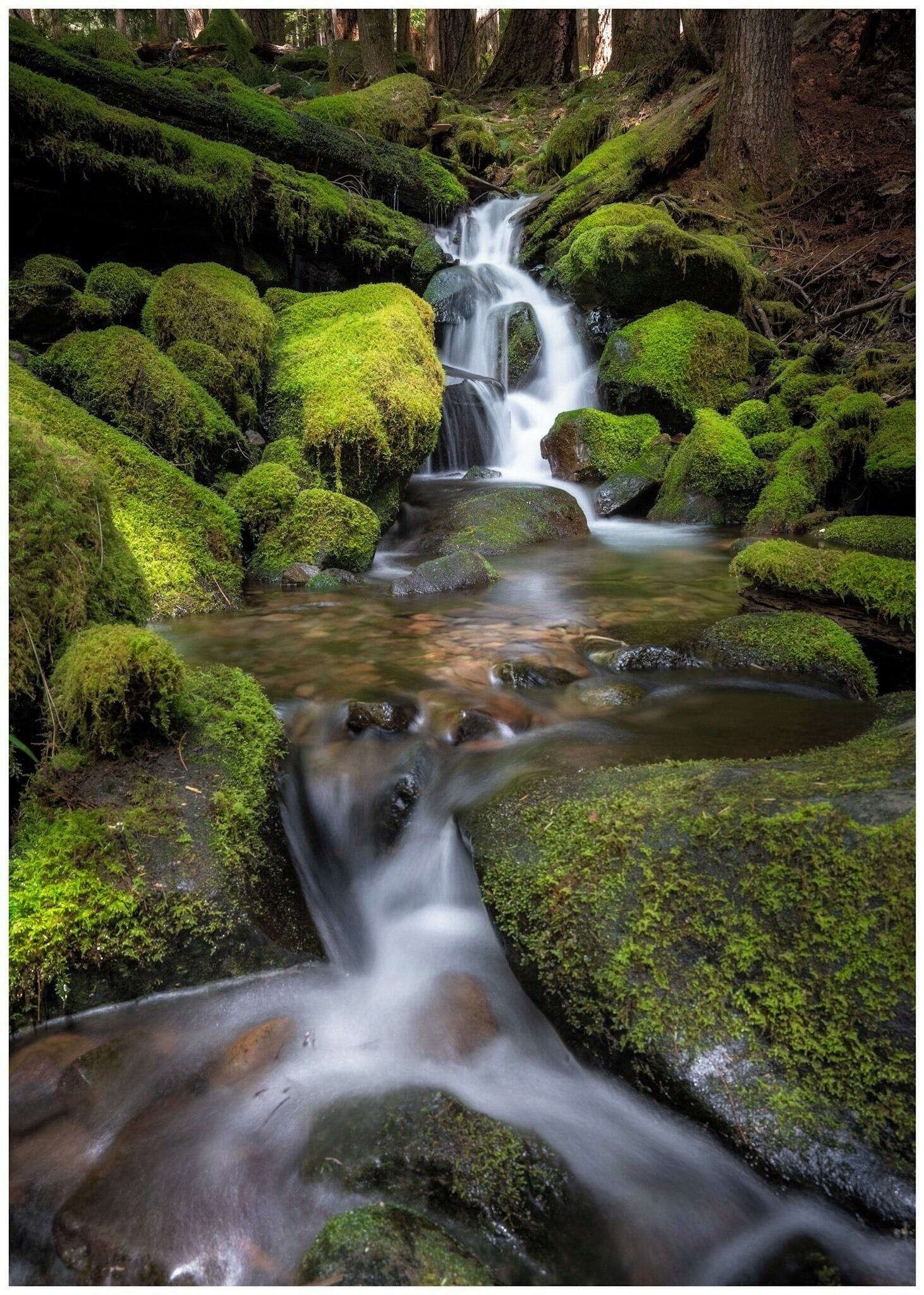 #hiking 
#pnw #pacificnorthwest #stream