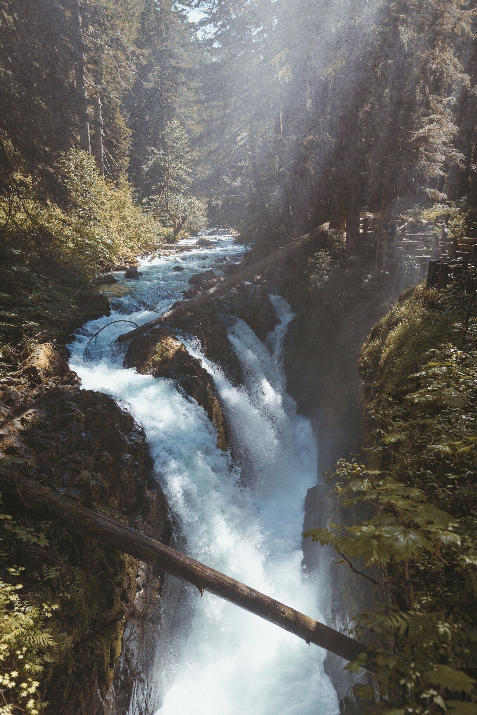 Una cascada en un área boscosa con luz solar filtrándose entre los árboles.