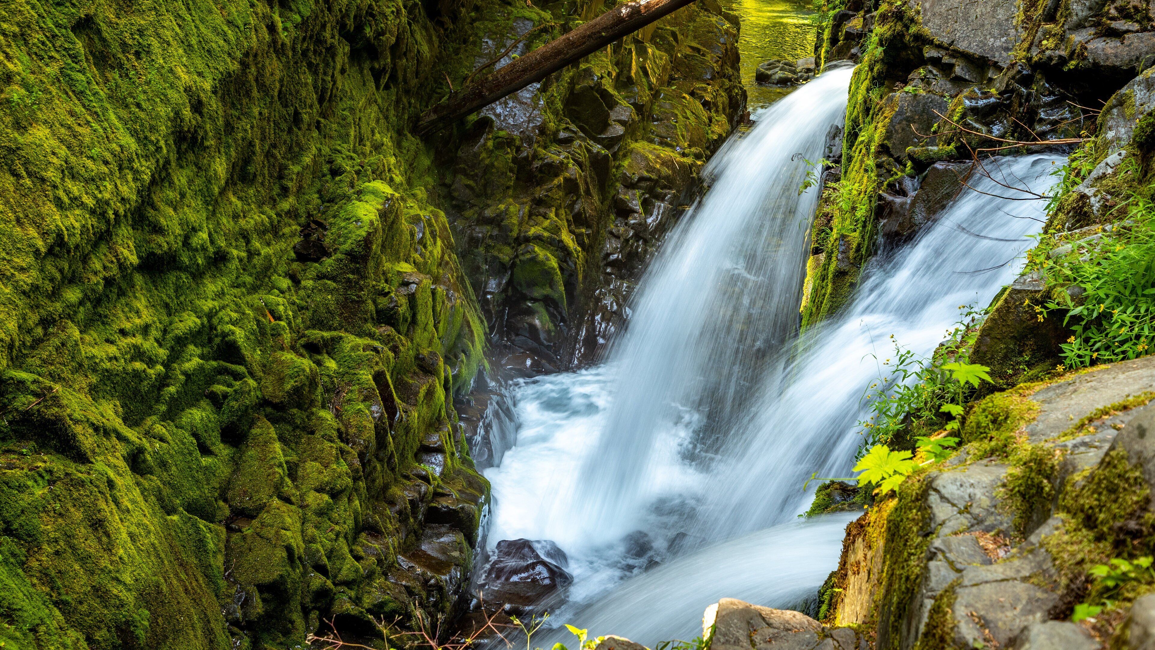 Sol Duc Falls which includes a waterfall and a river or creek