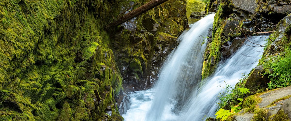 Sol Duc Falls which includes a waterfall and a river or creek