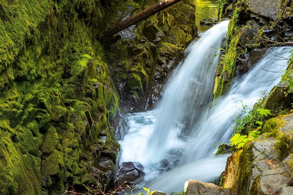 Sol Duc Falls which includes a waterfall and a river or creek