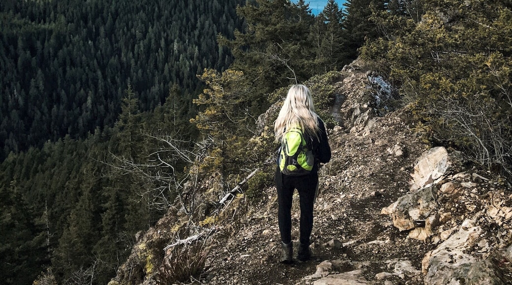Following the trail. #green #pnw