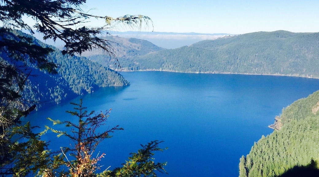 This is a hike which is across the lake crescent. It's a pretty strenuous hike to the top, but absolutely rewarding. #olympicNP #BeautifulPNW #lifeatexpedia