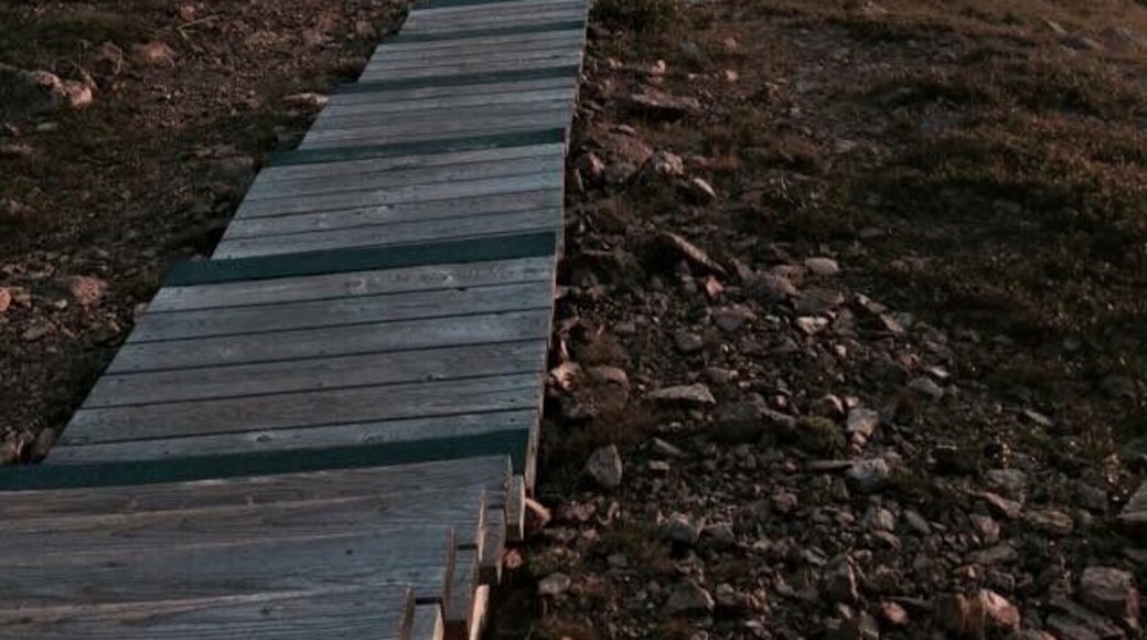 Sunset at the Skyline Trail!