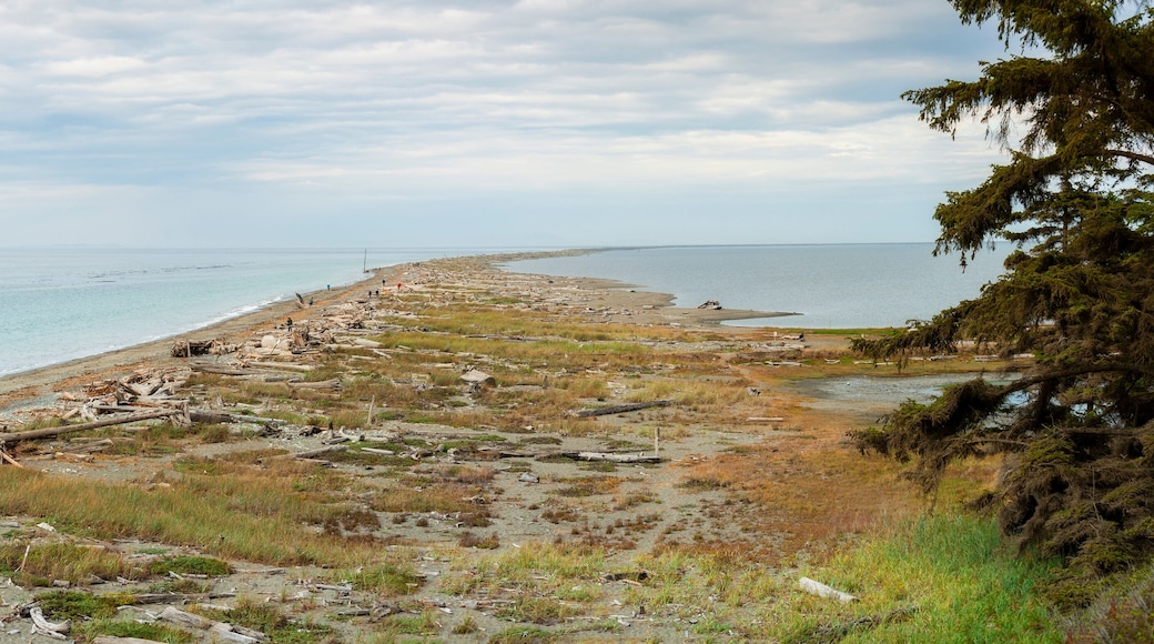 鄧杰內斯國家野生動物保護區