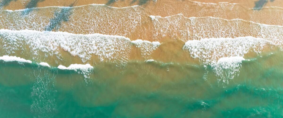 A beach with waves, palm tree shadows, and clear water.